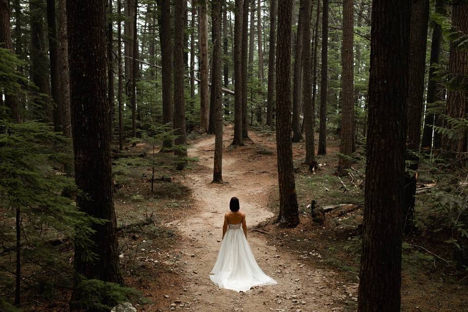 Revelstoke Forest Elopement