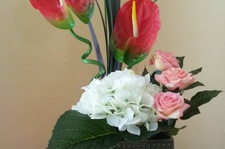 Laceleaf Anthurium & Hydrangea