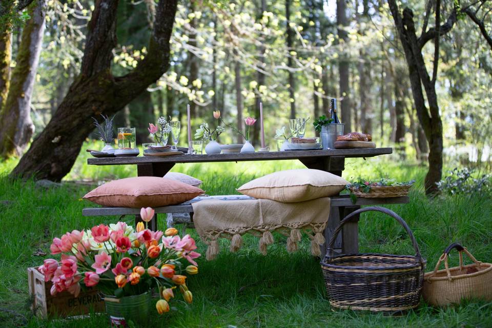 An intimate forest brunch