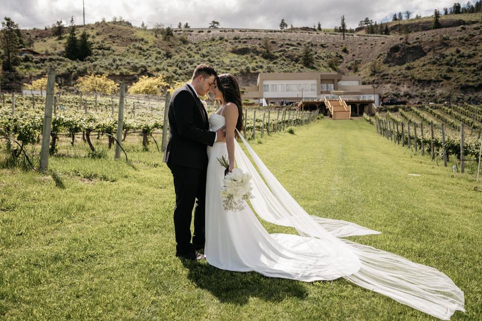 Vineyard Wedding