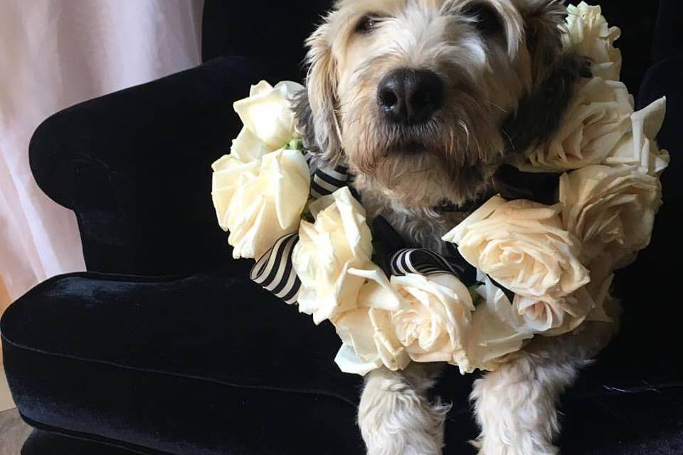 Zoe and Her Flowers Necklace