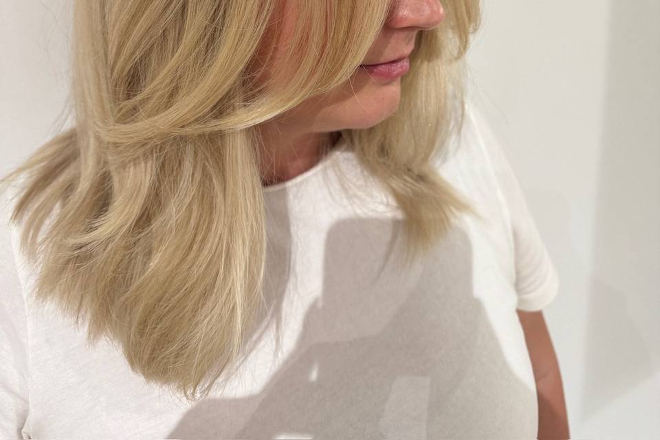 Blonde Highlights